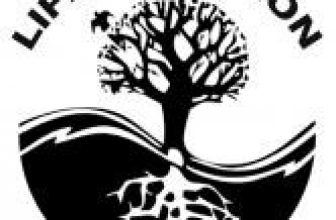 Medical Chi Kung Master – Private Lessons, Seminars